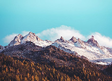 yl7703永利：在细节里点亮生活的品牌叙事