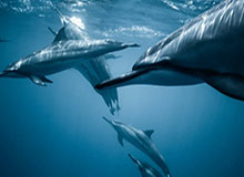 yl7703永利：在细节里点亮生活的品牌叙事